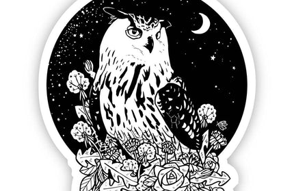 Owl with Night Sky Sticker