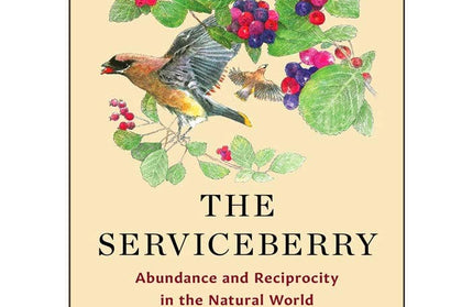 The Serviceberry (Hardcover Book)  by Robin Wall Kimmerer.