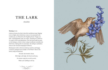 Ornithography by Jessica Roux: Hardcover; 224 pages / English
