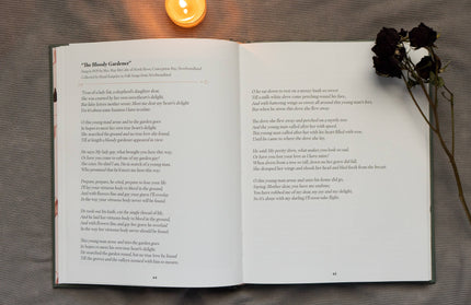 Murder Ballads by Katy  Horan: Hardcover; 144 pages / English