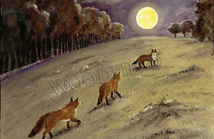 #307 - Foxes Moonlight Notecard