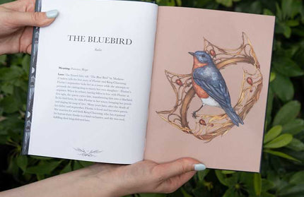 Ornithography by Jessica Roux: Hardcover; 224 pages / English