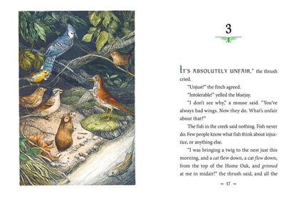Catwings by Ursula  K. Le Guin: Paperback; 48 pages / English