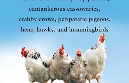Birdology by Sy   Montgomery: Paperback; 272 pages / English