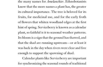 Serviceberry by Robin Wall Kimmerer: Hardcover; 128 pages / English