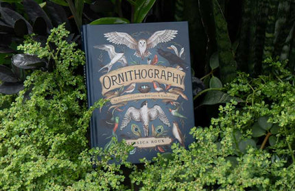 Ornithography by Jessica Roux: Hardcover; 224 pages / English