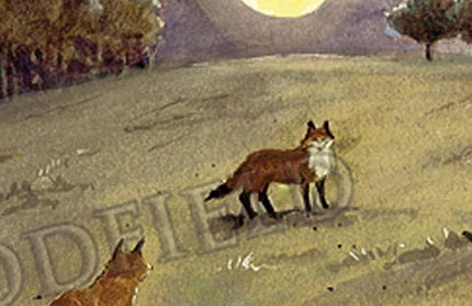 #307 - Foxes Moonlight Notecard