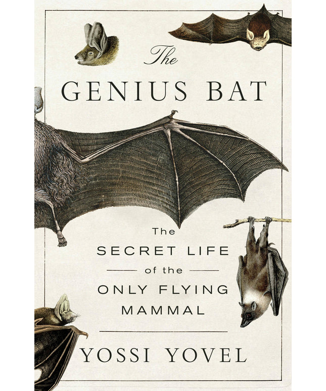 Genius Bat The Secret Life Of The Only Flying Mammal