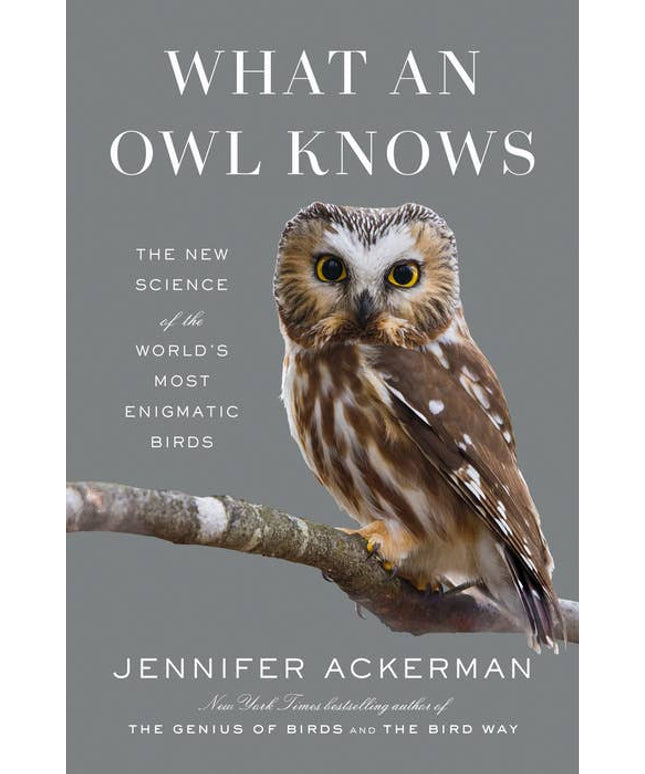What An Owl Knows