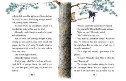 Wonderful Alexander and the Catwings by Ursula  K. Le Guin: Paperback; 56 pages / English