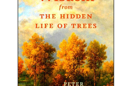 Wisdom From The Hidden Life of Trees.  Hardcover Book.