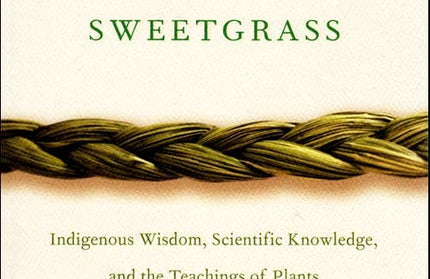 Braiding Sweetgrass Book. By Robin Wall Kimmerer.