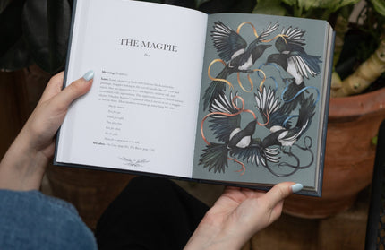 Ornithography by Jessica  Roux: Hardcover; 224 pages / English