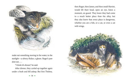 Catwings by Ursula  K. Le Guin: Paperback; 48 pages / English