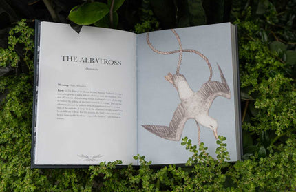 Ornithography by Jessica Roux: Hardcover; 224 pages / English