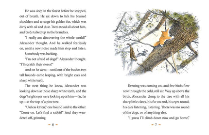 Wonderful Alexander and the Catwings by Ursula  K. Le Guin: Paperback; 56 pages / English