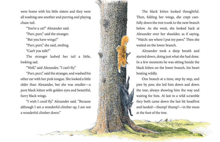 Wonderful Alexander and the Catwings by Ursula  K. Le Guin: Paperback; 56 pages / English