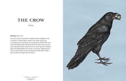 Ornithography by Jessica Roux: Hardcover; 224 pages / English