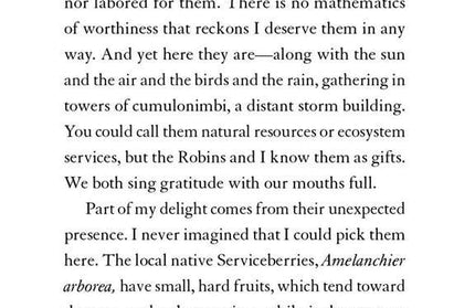 The Serviceberry (Hardcover Book)  by Robin Wall Kimmerer.