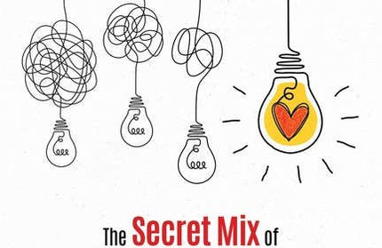 Purposeful Performance: The Secret Mix of Connecting, Leading, and Succeeding - Paperback