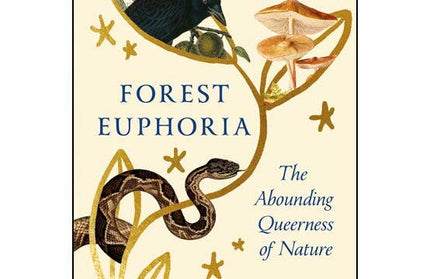 Forest Euphoria: The Abounding Queerness of Nature. Hardcovr