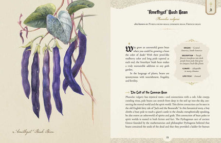 Goth Garden by Felicia Feaster: Hardcover; 192 pages / English