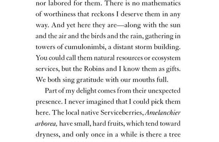 Serviceberry by Robin Wall Kimmerer: Hardcover; 128 pages / English