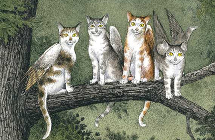 Catwings by Ursula  K. Le Guin: Paperback; 48 pages / English