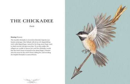 Ornithography by Jessica Roux: Hardcover; 224 pages / English