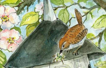 #13 - Wren's Nest Notecard