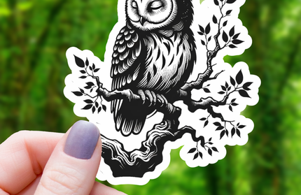 Ink Drawn Sleeping Owl Sticker- 3"