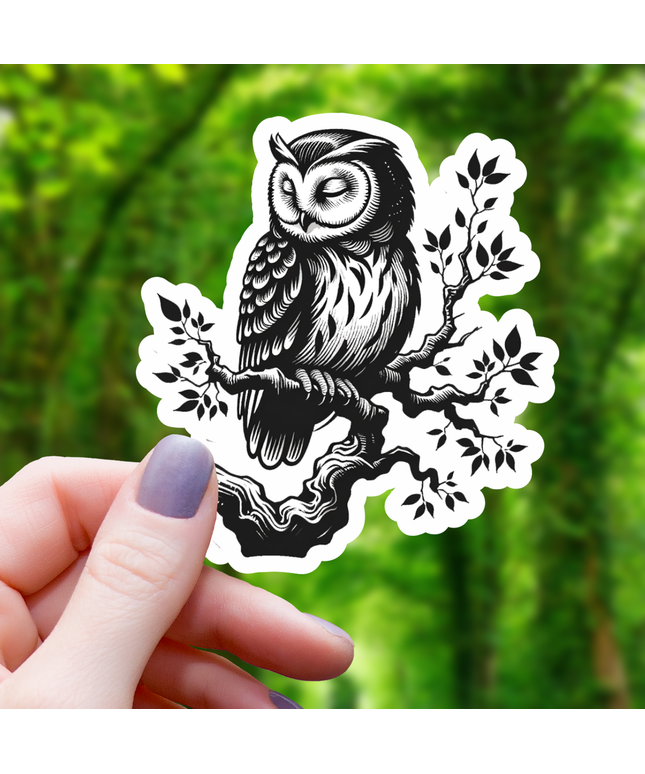 Ink Drawn Sleeping Owl Sticker- 3"