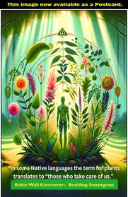 Braiding Sweetgrass Book. By Robin Wall Kimmerer.
