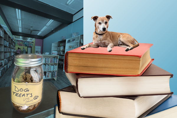 <h2>Bruno's Books & Beans</h2>