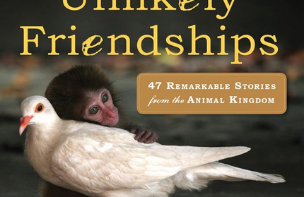 Unlikely Friendships: 47 Remarkable Stories from the Animal Kingdom