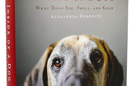 Inside of a Dog: what dogs see, smell and know