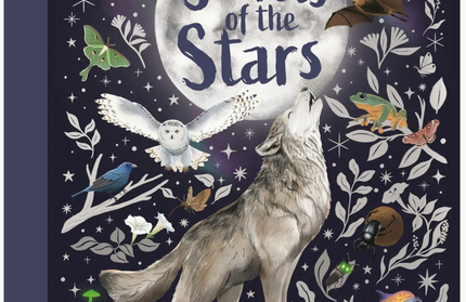 Secrets of the Stars