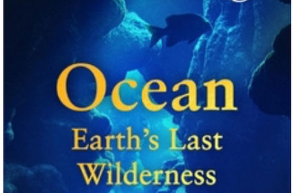 Ocean