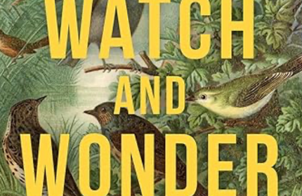Watch and Wonder
