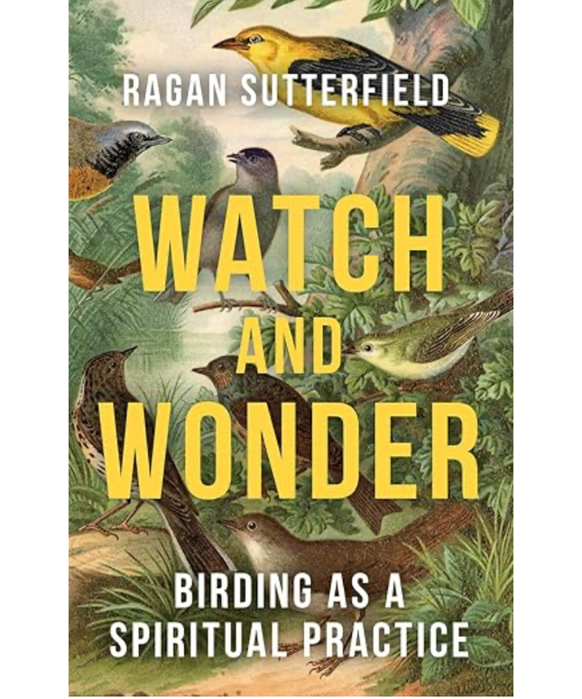 Watch and Wonder