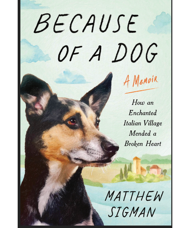 Because of a Dog