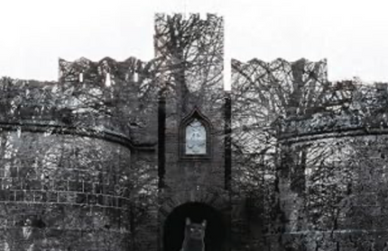 We Have Always Lived in the Castle