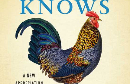 What the Chicken Knows by Sy   Montgomery: Hardcover; 96 pages / English