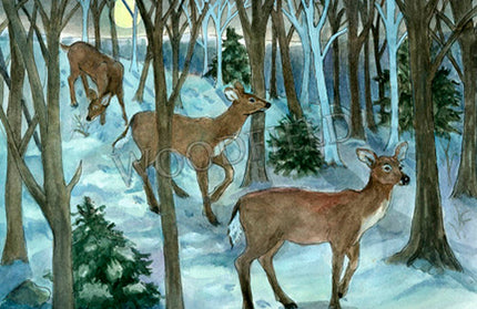 #760 - Winter Deer Walk Notecard