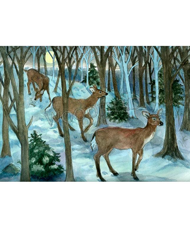 #760 - Winter Deer Walk Notecard
