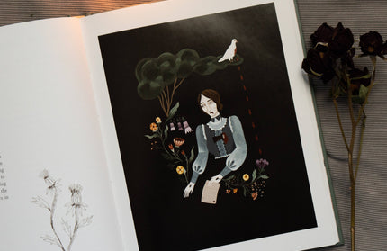 Murder Ballads by Katy  Horan: Hardcover; 144 pages / English