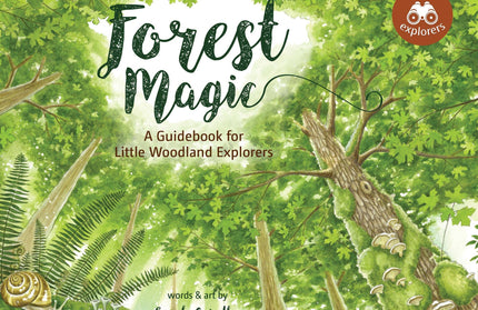 Forest Magic