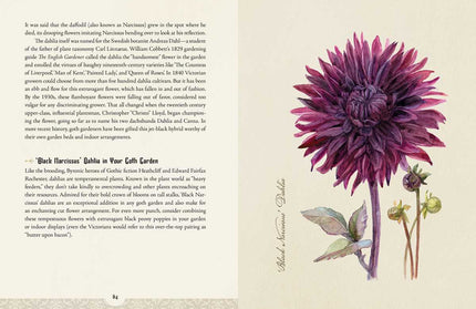 Goth Garden by Felicia Feaster: Hardcover; 192 pages / English