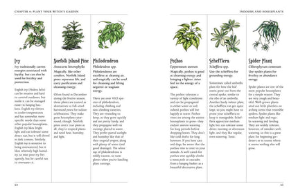 Green Witch's Garden by Arin Murphy-Hiscock: Hardcover; 224 pages / English