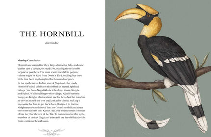 Ornithography by Jessica Roux: Hardcover; 224 pages / English